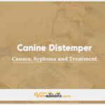 Canine Distemper: Causes, Symptoms and Treatment