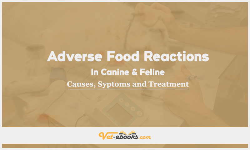 Food Reactions (Gastrointestinal), Adverse In Canine and Feline: Causes, Symptoms and Treatment