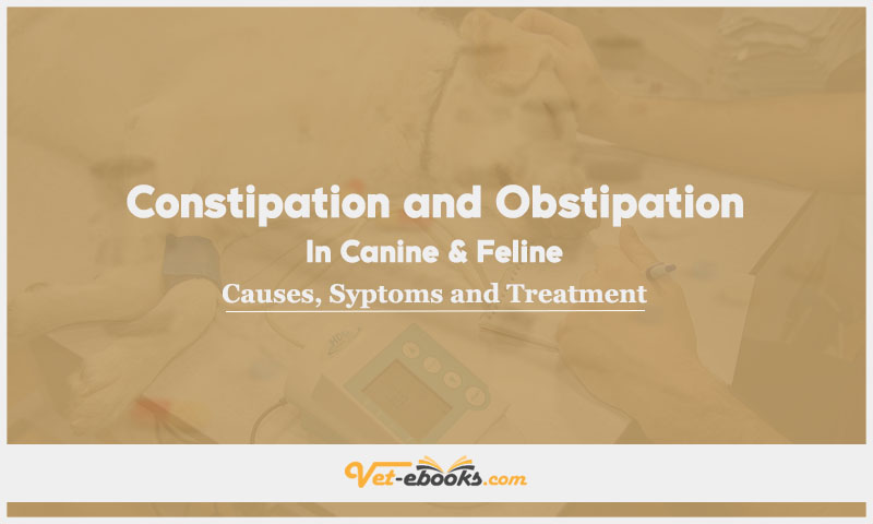 Constipation and Obstipation In Canine and Feline: Causes, Symptoms and Treatment