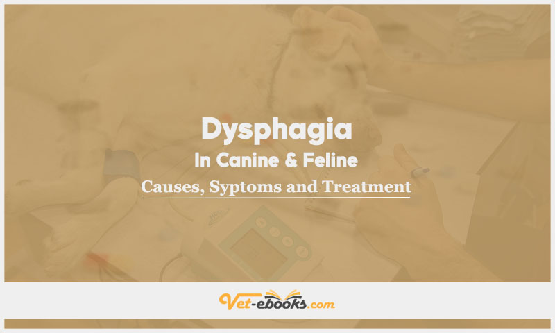 Dysphagia In Canine and Feline: Causes, Symptoms and Treatment